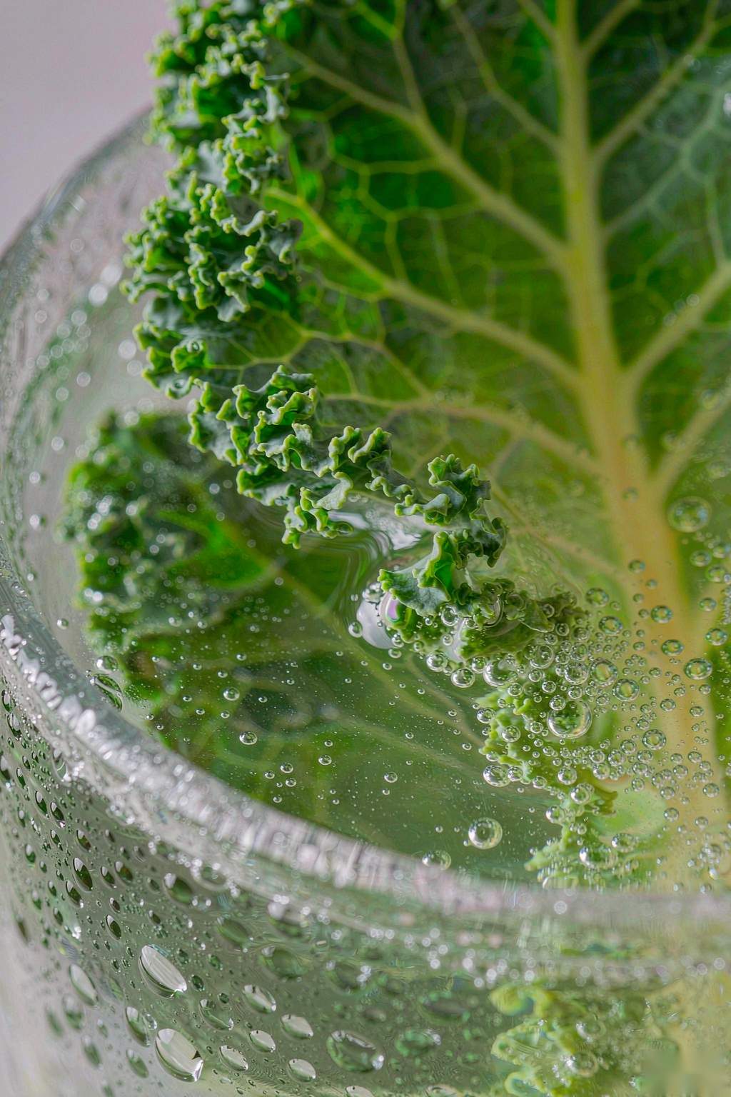 Macro of Kale Sparkling Water surface with bubbles and kale leaf edge