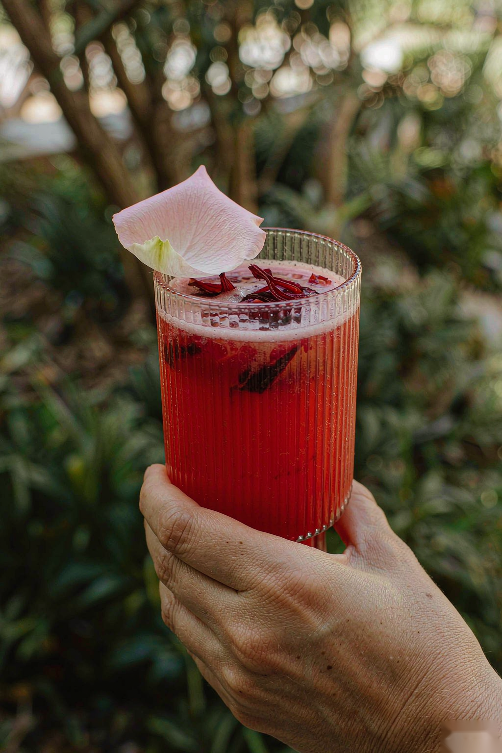 Hand holding tall glass of ruby red rose hibiscus sparkling water outdoors in garden setting